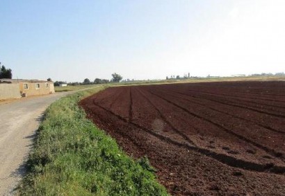 Avgorou, Famagusta Agricultural Land For Sale | C13164