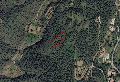 Kampia, Nicosia Agricultural Land For Sale | C13234