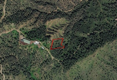 Kampia, Nicosia Agricultural Land For Sale | C13235