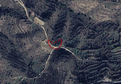 Dora, Limassol Agricultural Land For Sale | C13252