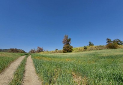 Lythrodontas, Nicosia Agricultural Land For Sale | C13270