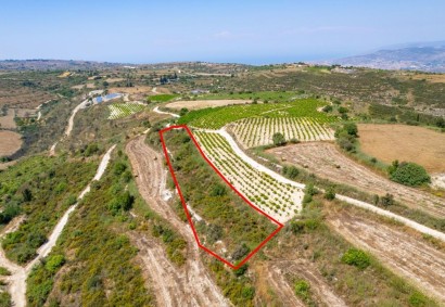 Kathikas, Paphos Agricultural Land For Sale | C13275