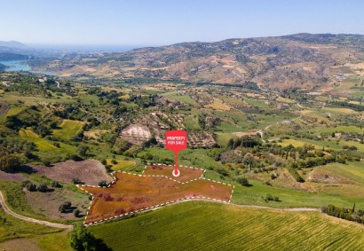 Simou, Paphos Agricultural Land For Sale | C13276