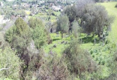 Letymvou, Paphos Agricultural Land For Sale | C13282