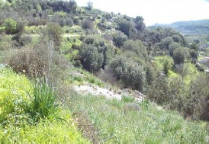 Letymvou, Paphos Agricultural Land For Sale | C13283