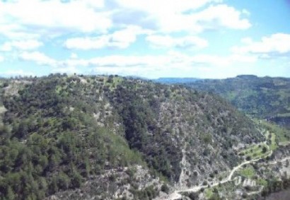 Kallepeia, Paphos Agricultural Land For Sale | C13299