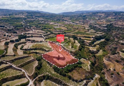 Letymvou, Paphos Agricultural Land For Sale | C13300