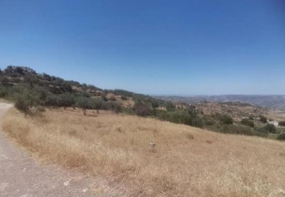 Pentalia, Paphos Agricultural Land For Sale | C13301