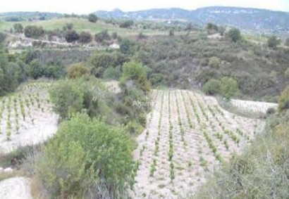 Stroumpi Pano, Paphos Agricultural Land For Sale | C13302