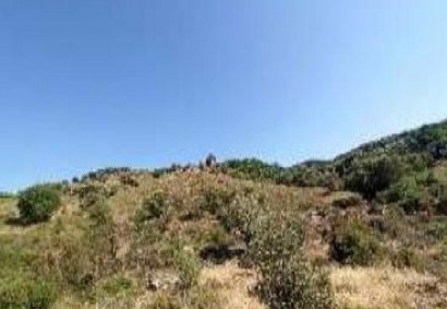 Kelokedara, Paphos Agricultural Land For Sale | C13303