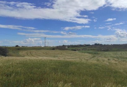 Lakatameia, Nicosia Agricultural Land For Sale | C13325
