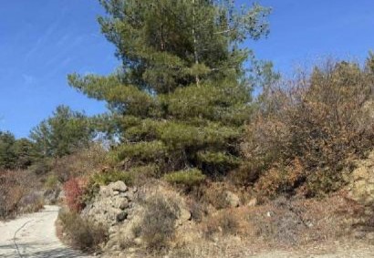 Kyperounta, Limassol Agricultural Land For Sale | C13326