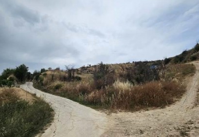 Psathi, Paphos Agricultural Land For Sale | C13343