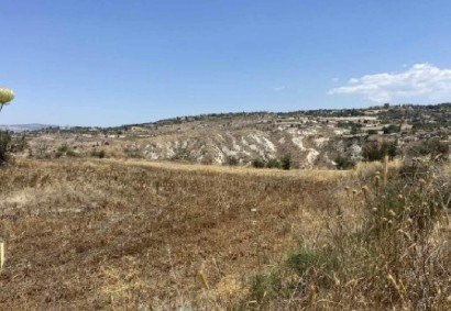 Drymou, Paphos Agricultural Land For Sale | C13345