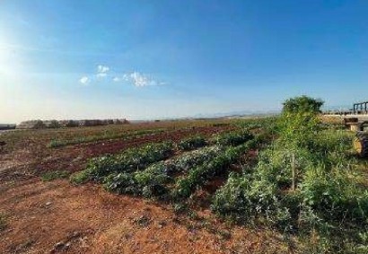 Nisou, Nicosia Agricultural Land For Sale | C13352