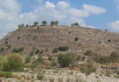 Choletria, Paphos Agricultural Land For Sale | C13386