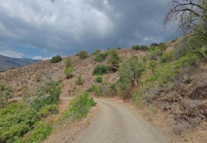 Foini, Limassol Agricultural Land For Sale | C13390