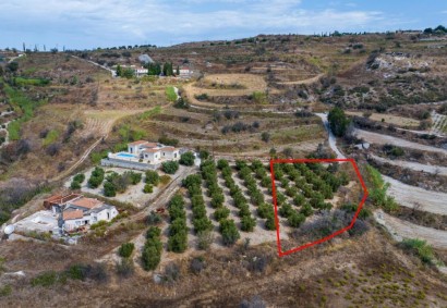 Polemi, Paphos Agricultural Land For Sale | C13396