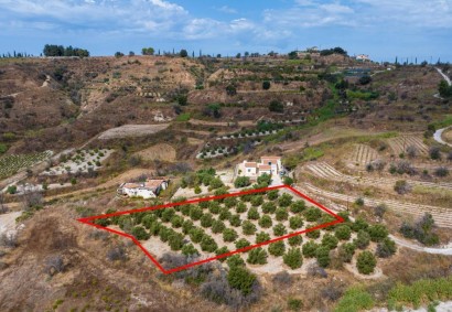 Polemi, Paphos Agricultural Land For Sale | C13397