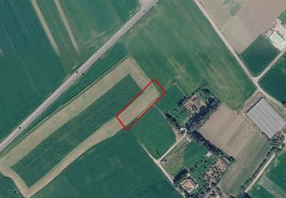 Softades, Larnaca Agricultural Land For Sale | C13403