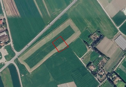 Softades, Larnaca Agricultural Land For Sale | C13404