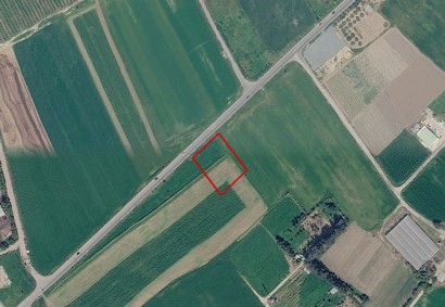Softades, Larnaca Agricultural Land For Sale | C13408