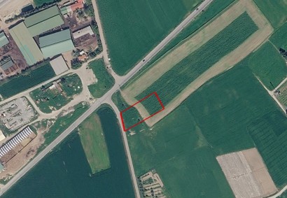Softades, Larnaca Agricultural Land For Sale | C13409