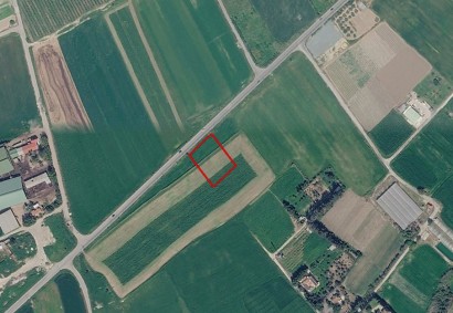 Softades, Larnaca Agricultural Land For Sale | C13410