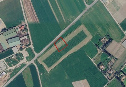 Softades, Larnaca Agricultural Land For Sale | C13412