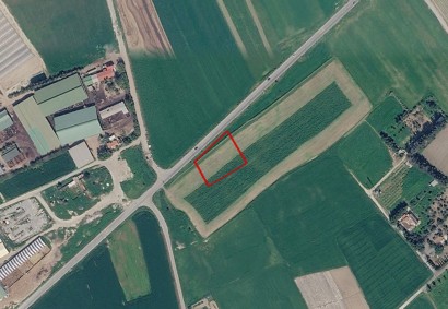 Softades, Larnaca Agricultural Land For Sale | C13413