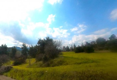 Politiko, Nicosia Agricultural Land For Sale | C13424