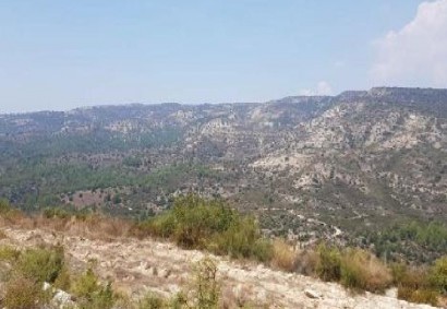 Dora, Limassol Agricultural Land For Sale | C13431
