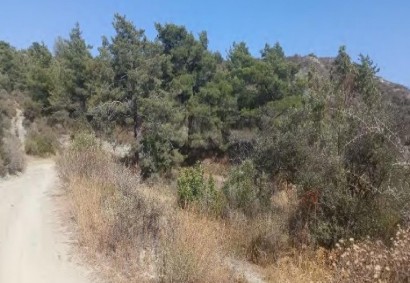 Kellaki, Limassol Agricultural Land For Sale | C13433