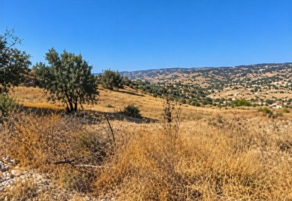 Psathi, Paphos Agricultural Land For Sale | C13437
