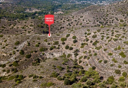 Psevdas, Larnaca Agricultural Land For Sale | C13445